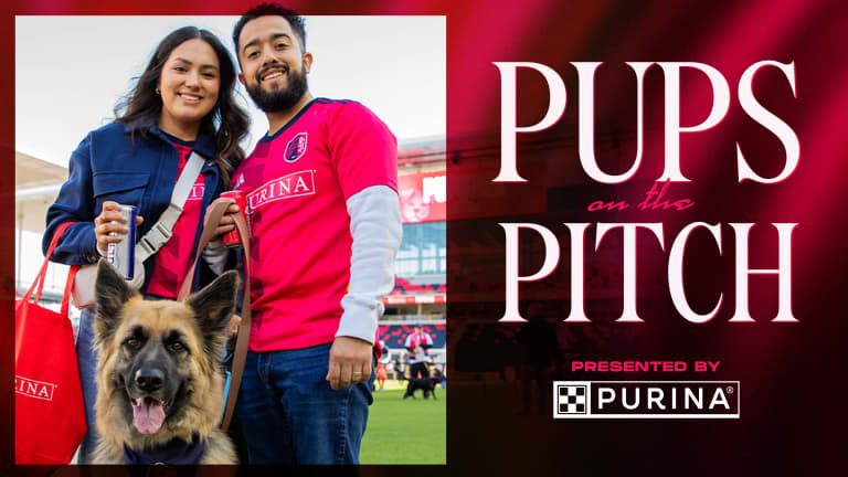 26_Preview_Article_PupsonthePitch